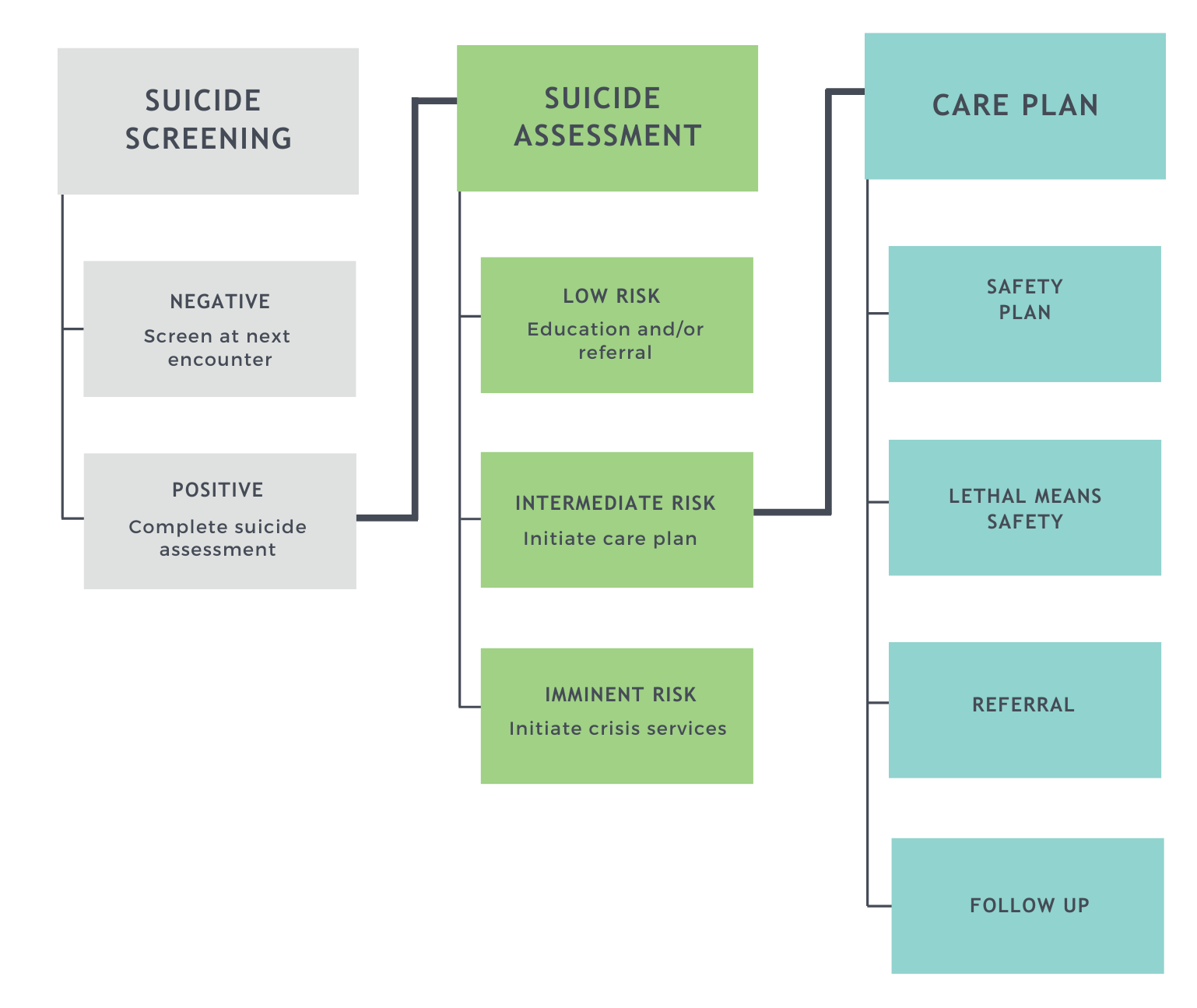 The youth suicide care pathway in a flow chart format